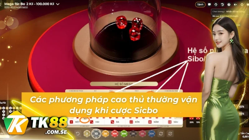 03 phương pháp giúp nâng cao khả năng chính xác trong Sicbo 60s