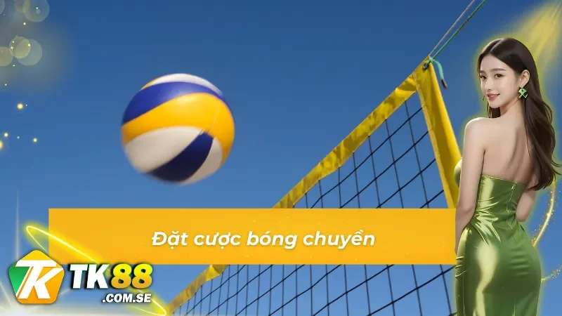 Bóng chuyền - Loại hình thể thao ăn khách tại thể thao IM 