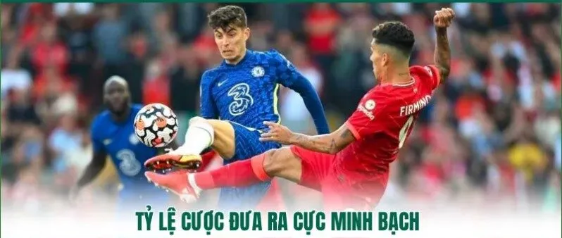 Tỷ lệ cược minh bạch